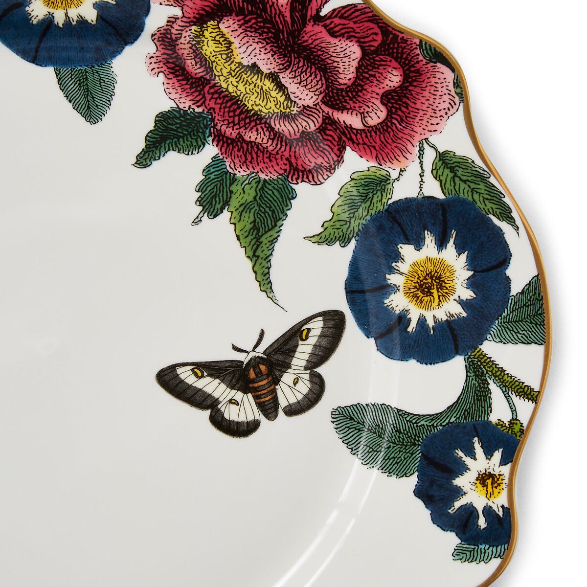 Set of 4 Creatures of Curiosity Dinner Plates multi-coloured, SPODE