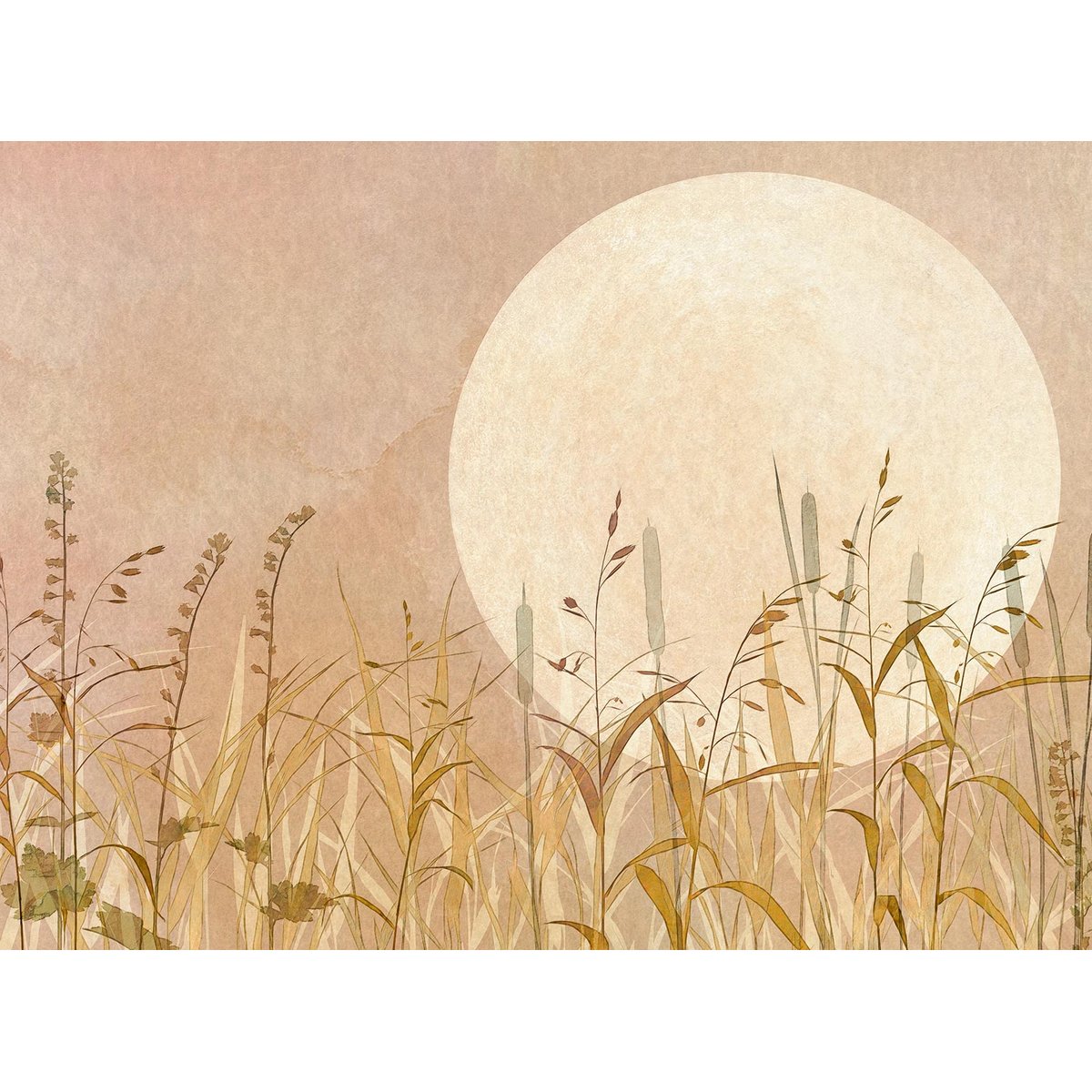Papier peint roseaux et lune rose intissé, HEXOA