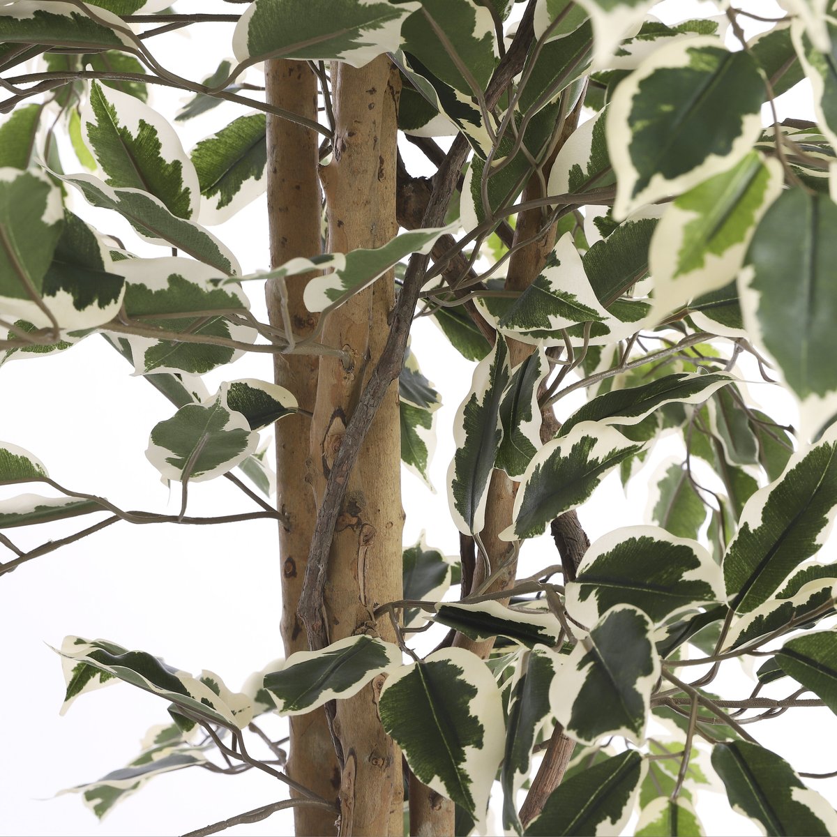 Plante artificielle FICUS vert, MICA DECORATIONS