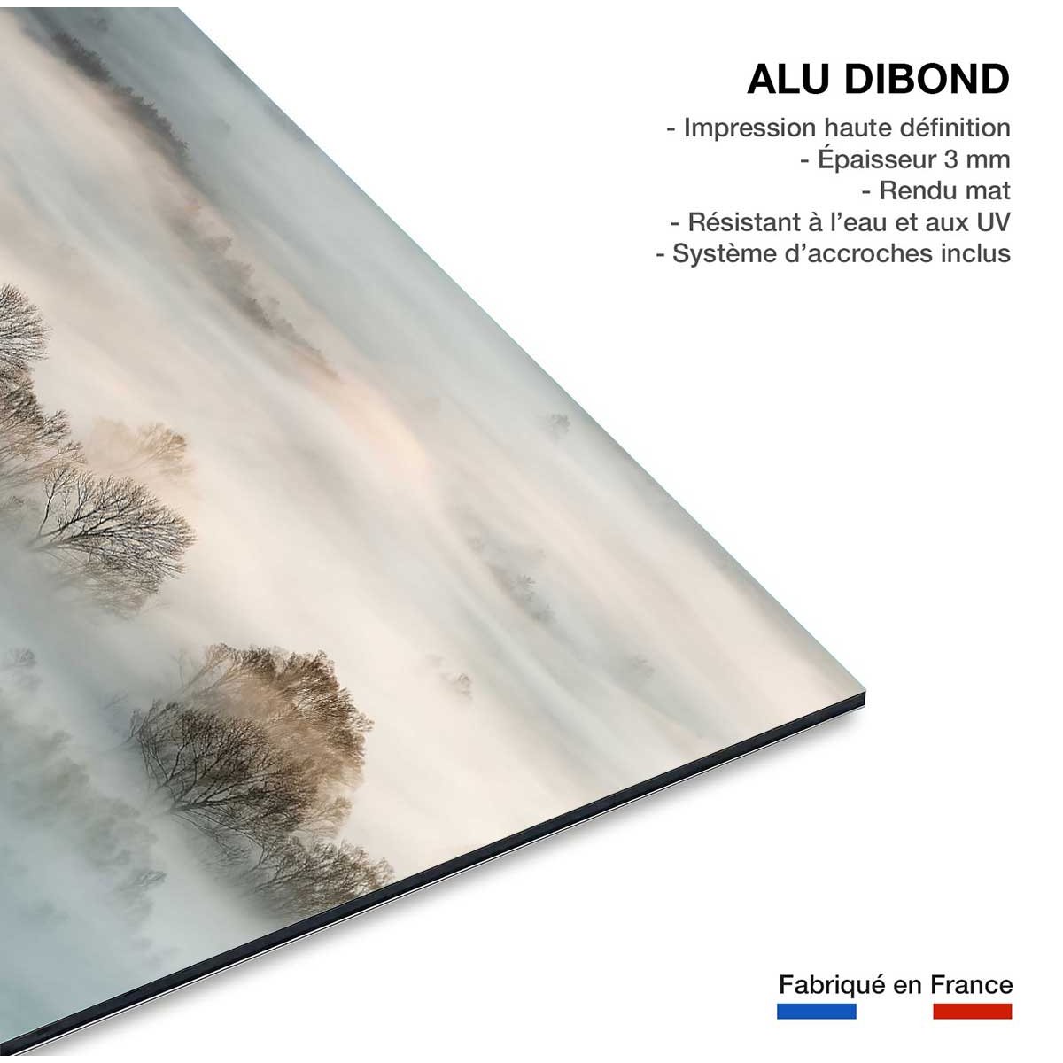 Tableau brouillard hivernal tableau alu dibond, HEXOA
