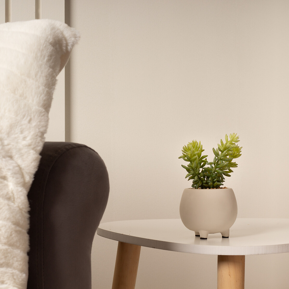 Set of 3 15cm Succulents in Cement Pot green, SO'HOME