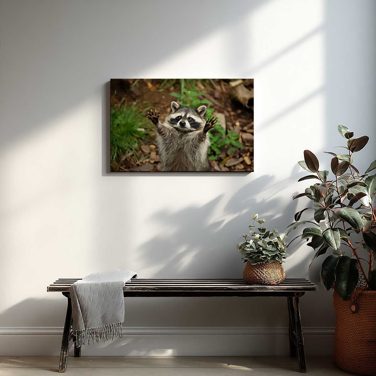 Tableau raton laveur espiègle en pleine nature toile imprimée, HEXOA