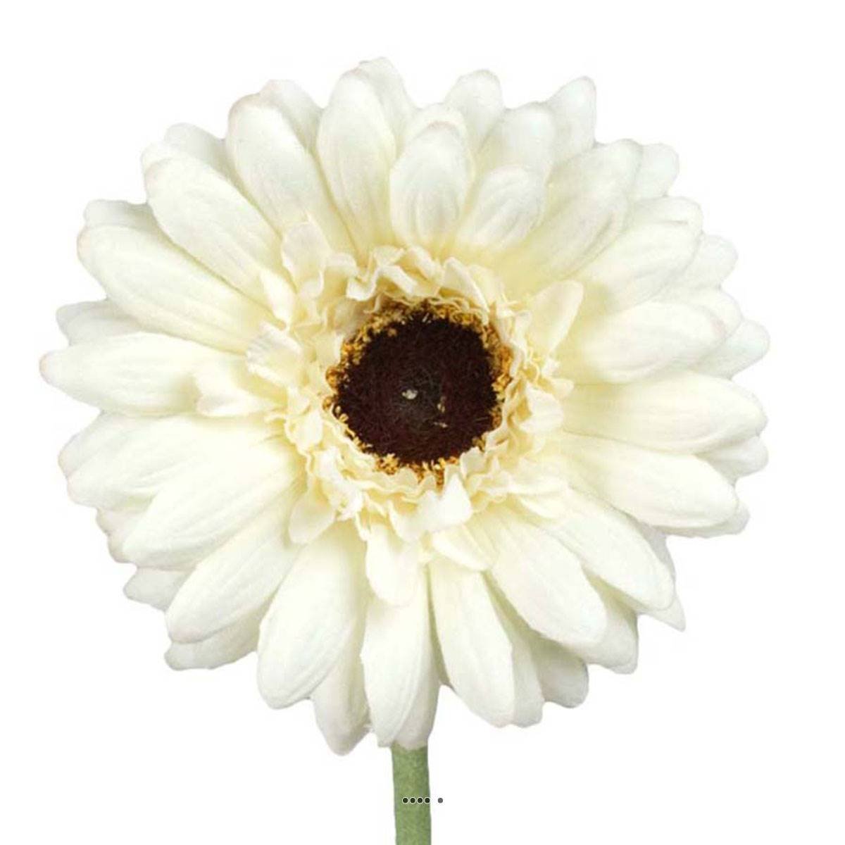 Gerbera artificiel H 55 cm D 10 cm superbe crème, ARTIFICIELLES
