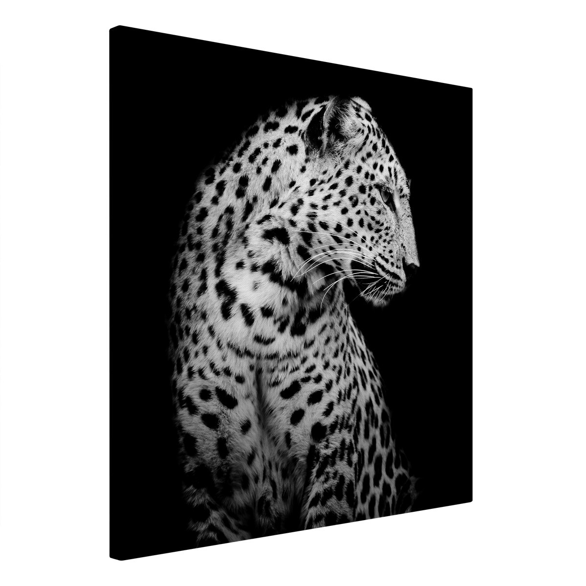 Tableau Sur Toile Guépard Distrait ANIMAUX tableaux sur toile-noir & blanc, CEANOTHE