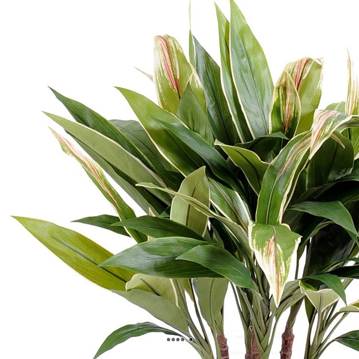 Dracaena artificiel type cordyline en pot H 8 vert, ARTIFICIELLES