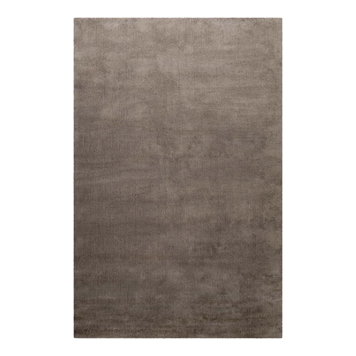 Tapis tufté en laine , CAMPINO taupe, HOMIE LIVING