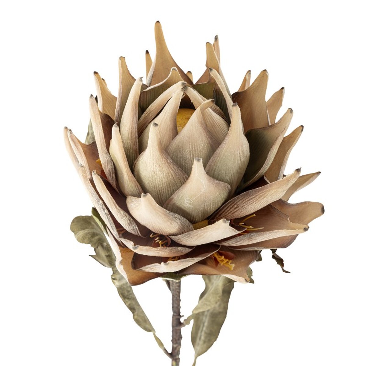 Fleur Artificielle Protea beige, BLOOMINGVILLE