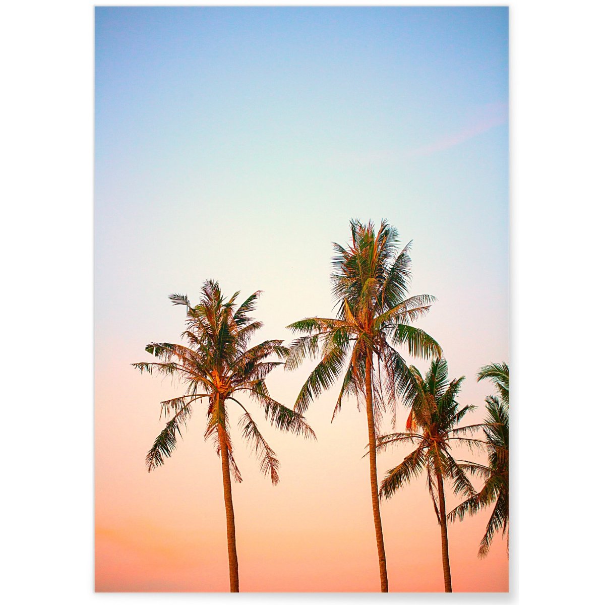 Poster Nature Tropicale 3 blanc, L'AFFICHERIE