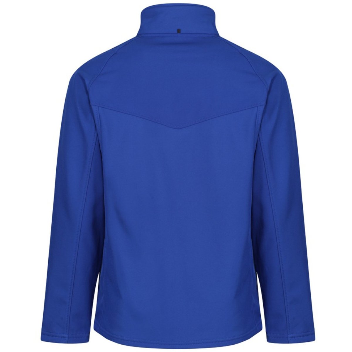 Veste softshell UPROAR bleu roi vif, REGATTA