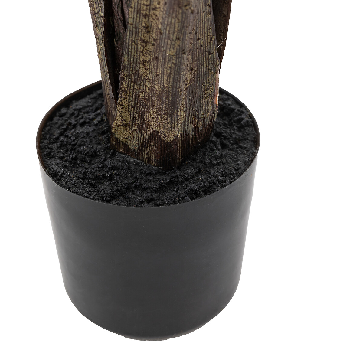 4ft Potted Travellers Palm Tree green, ÉDITÉ