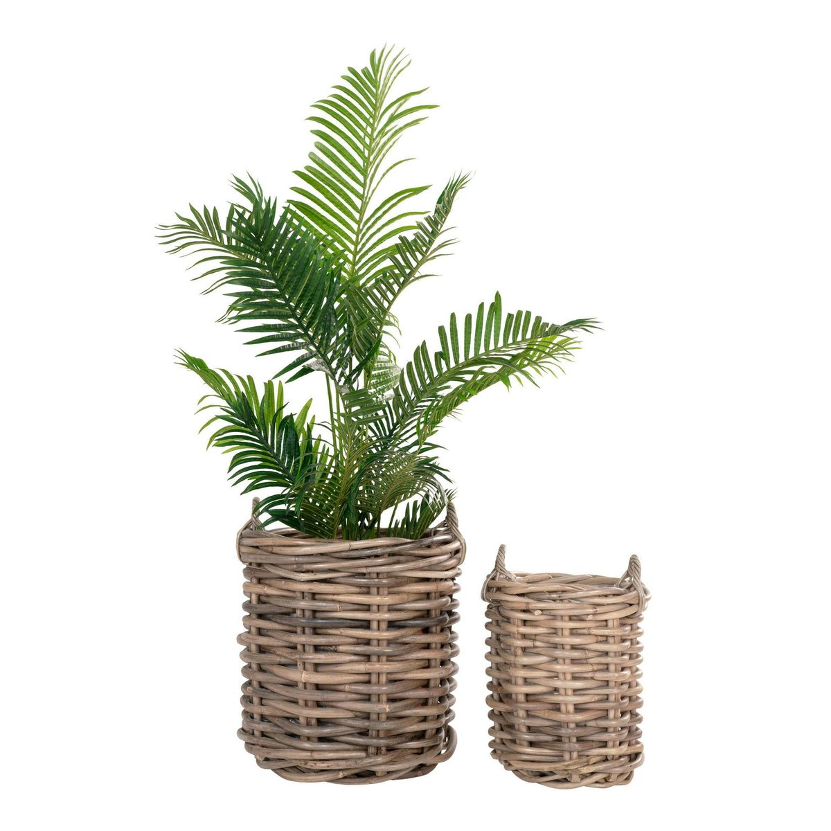 Cache-pot rond en rotin (lot de 2) beige, PIER IMPORT