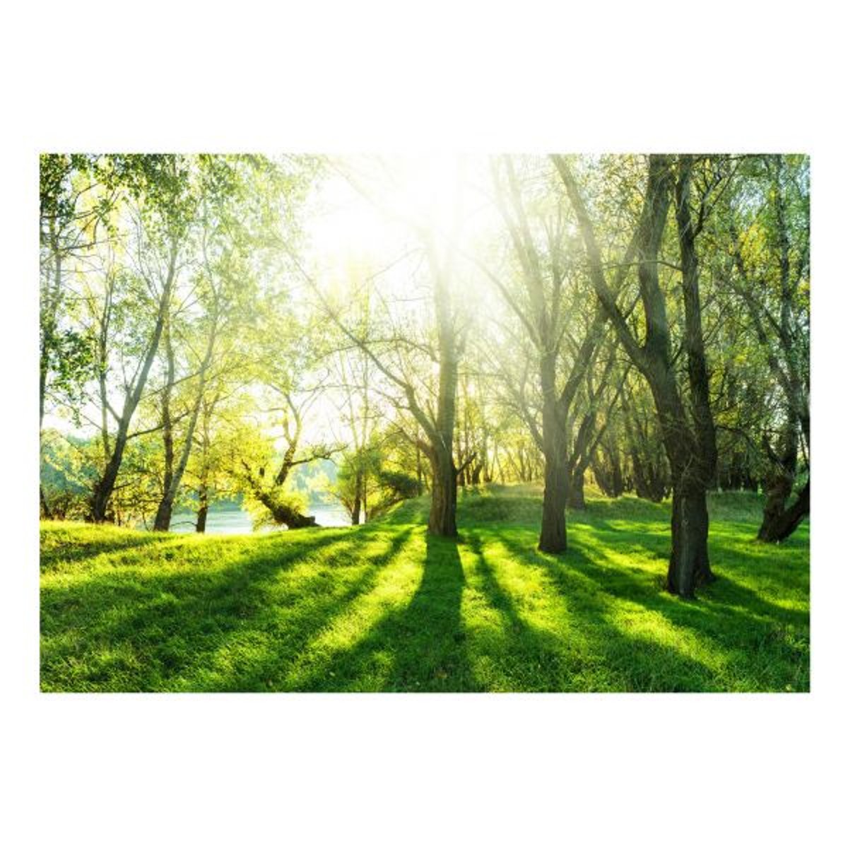 Papier peint intissé panoramique Paysage Sunny May Day jaune / doré, EDEN