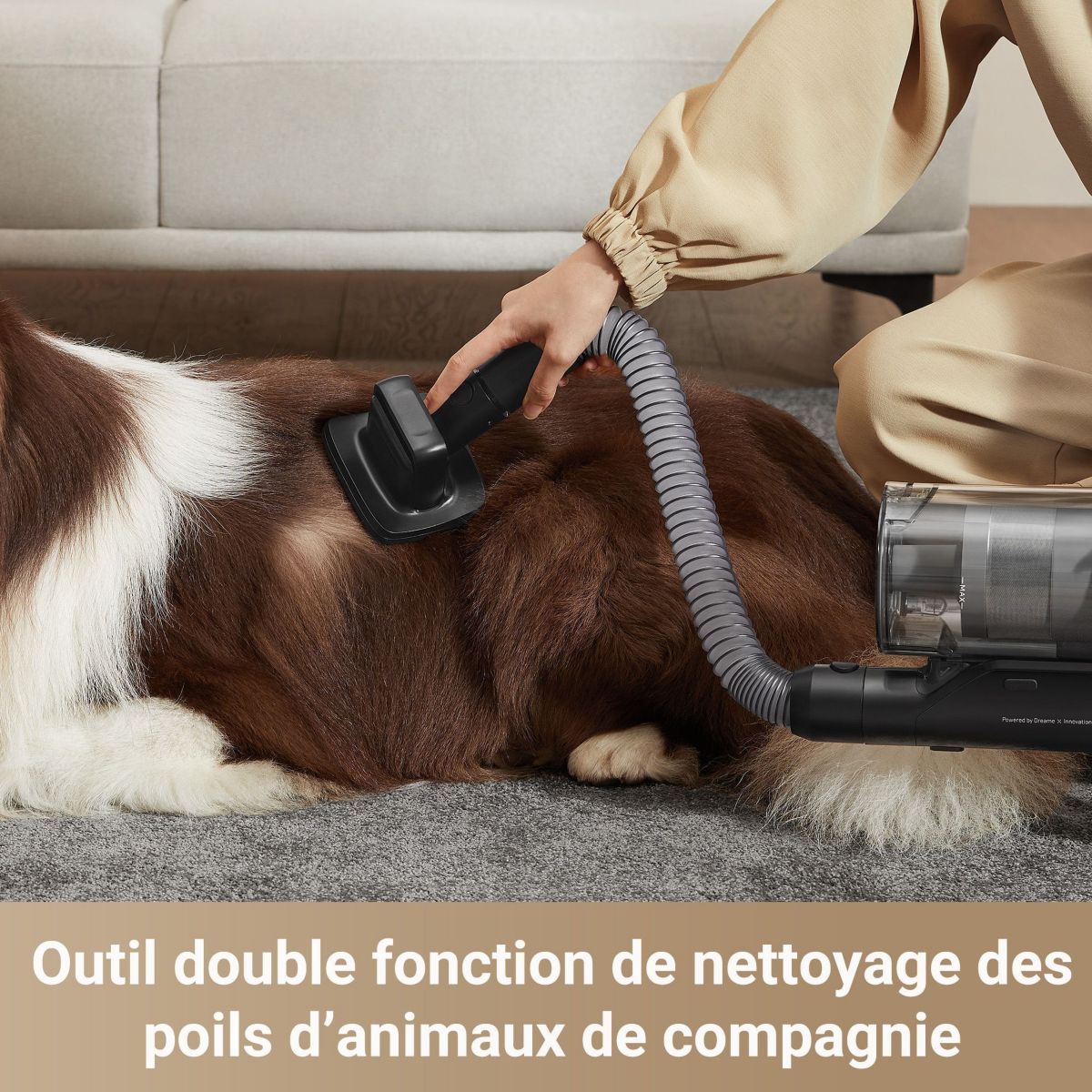 Aspirateur balai Z30 couleur unique, DREAME