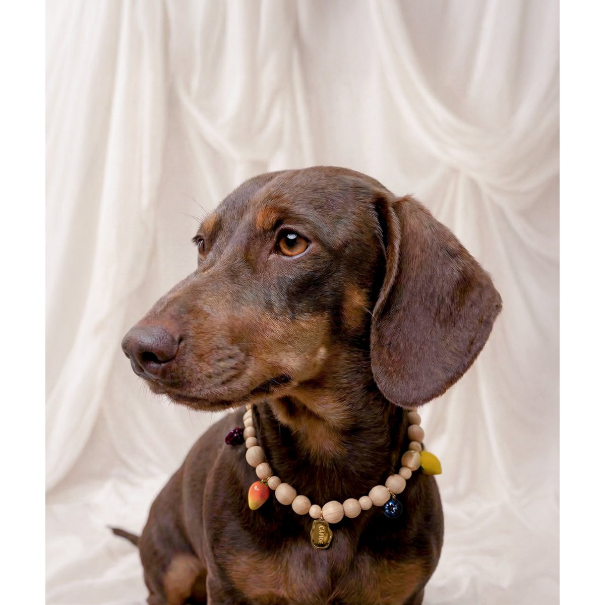 Collier à breloques pour chien, SIRA bois clair, CAFIDE