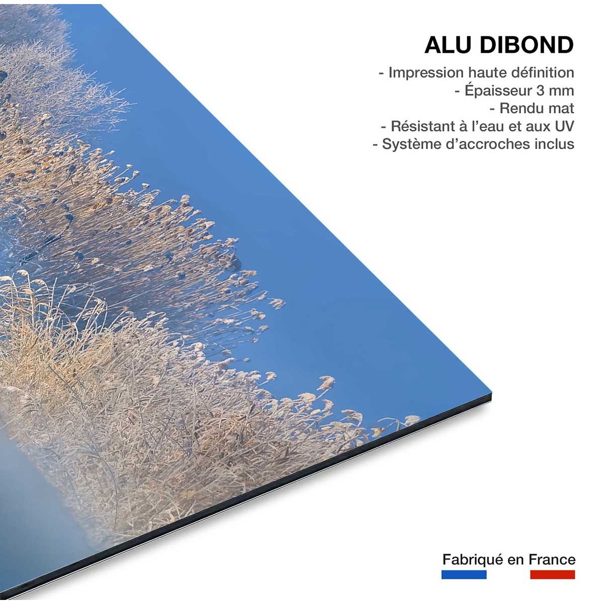 Tableau cygnes dans le givre matinal tableau alu dibond, HEXOA