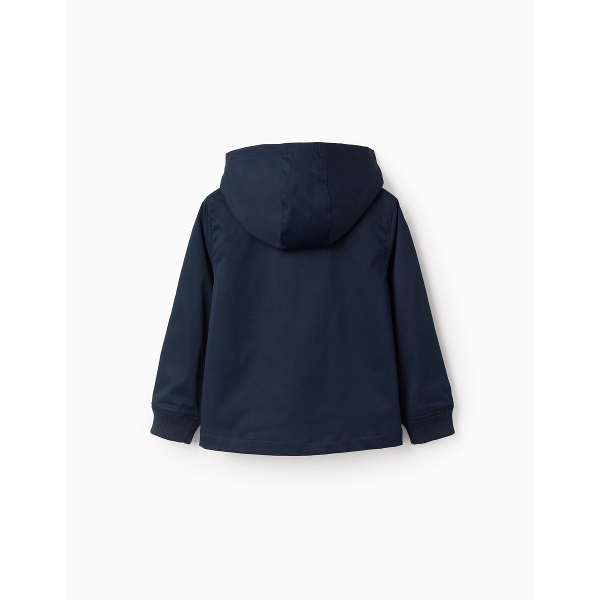Veste avec doublure et capuche amovible bleu, ZIPPY
