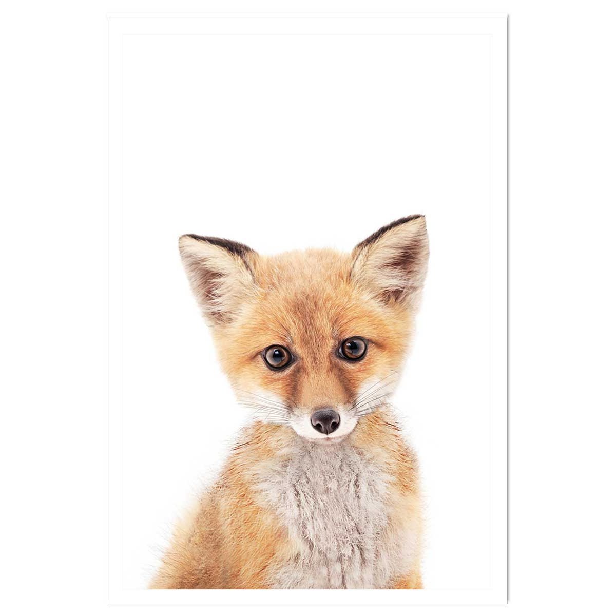 Affiche enfant bébé fox affiche seule, HEXOA