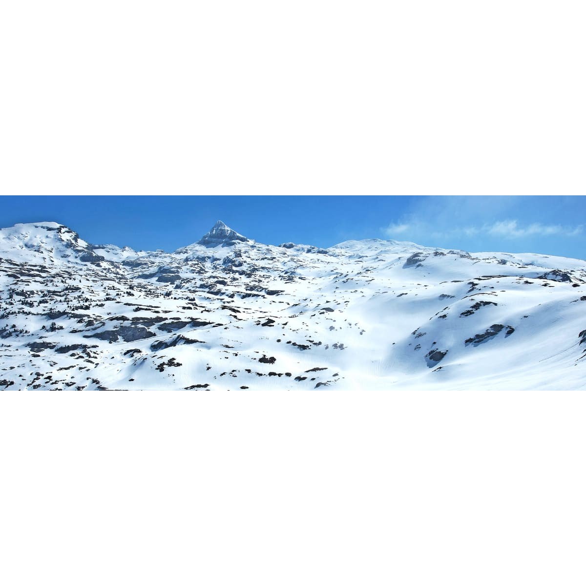 Tableau Mural Pic D'anie MONTAGNE tableaux sur toile-blanc, CEANOTHE