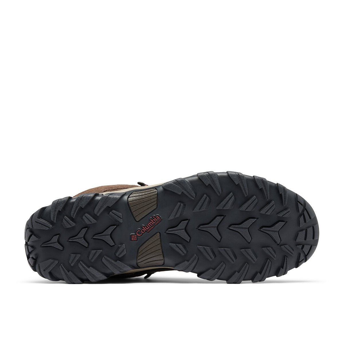Newton Ridge™ Plus II Suede Hiking Shoes dark brown, COLUMBIA