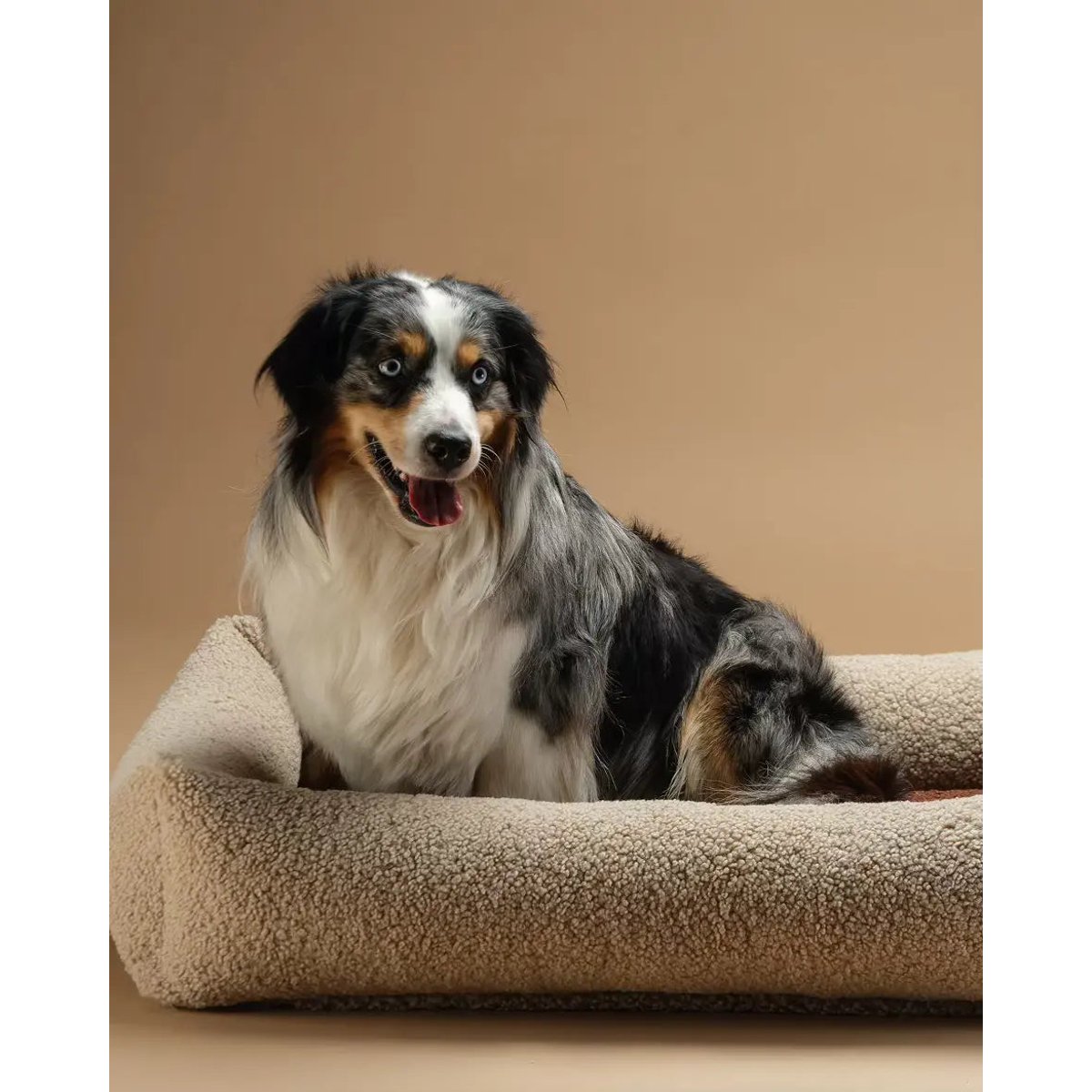 Lit douillet pour animaux L en Teddy biscuit, WIGIWAMA