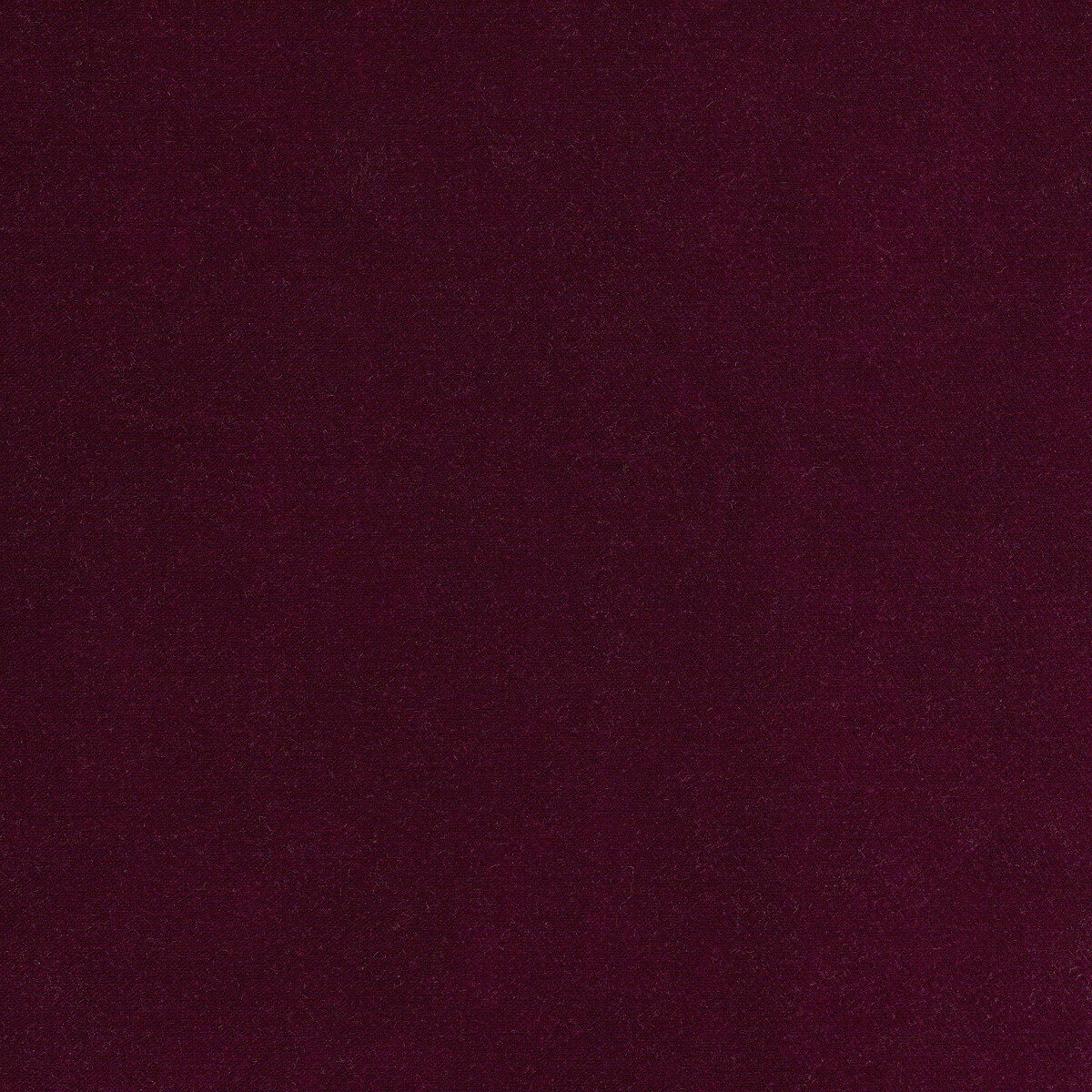 Fodera per divano velluto, Lazare prugna, AM.PM