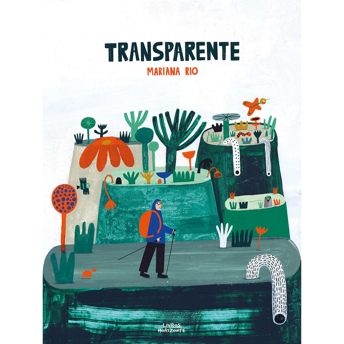 Livro "Transparente", LIVROS HORIZONTE multicolor, LIVROS HORIZONTE