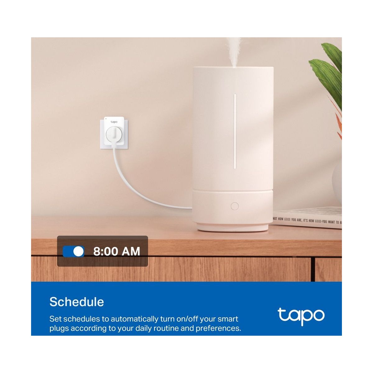 Prise connectée Tapo P100 Wifi couleur unique, TP-LINK
