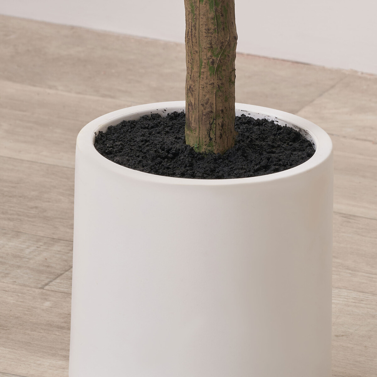 150cm Olive Tree in Pot green, SO'HOME