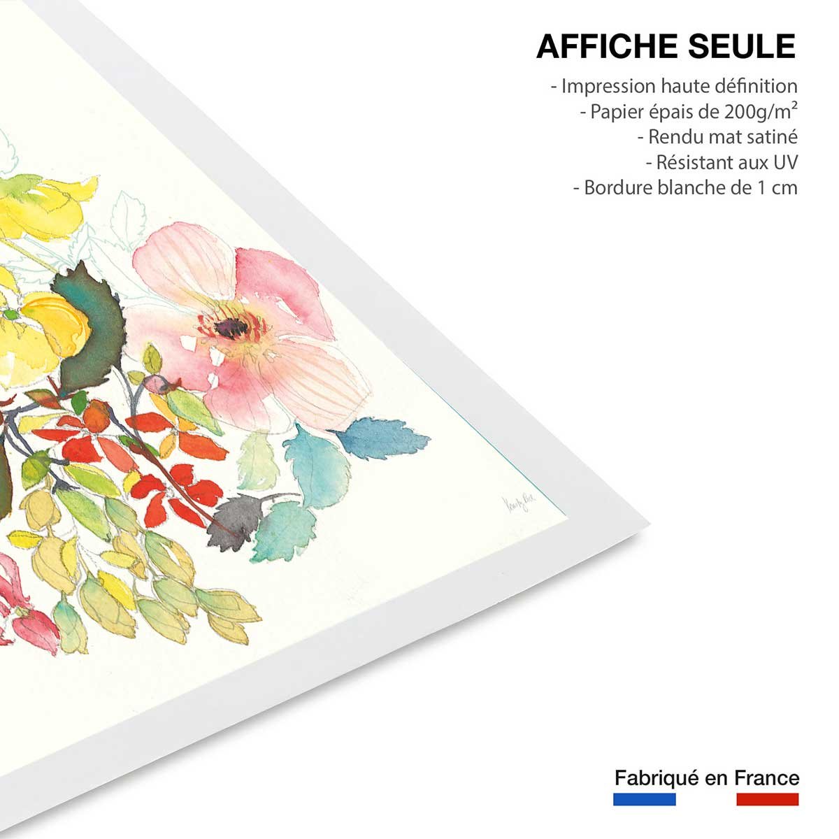 Affiche fleurs Boutons d'or affiche seule, HEXOA