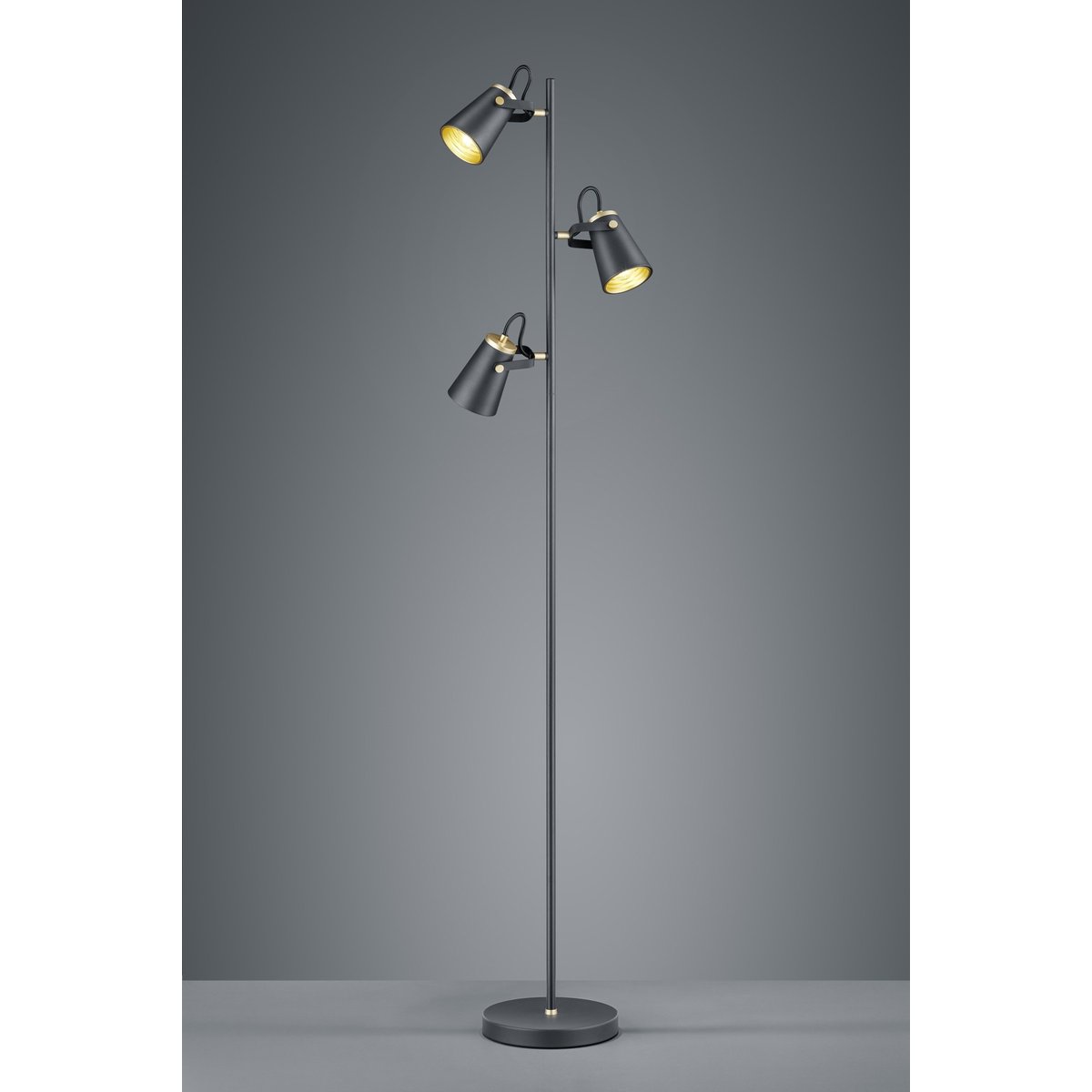 Lampadaire design en métal industriel, EDWARD noir, TRIO