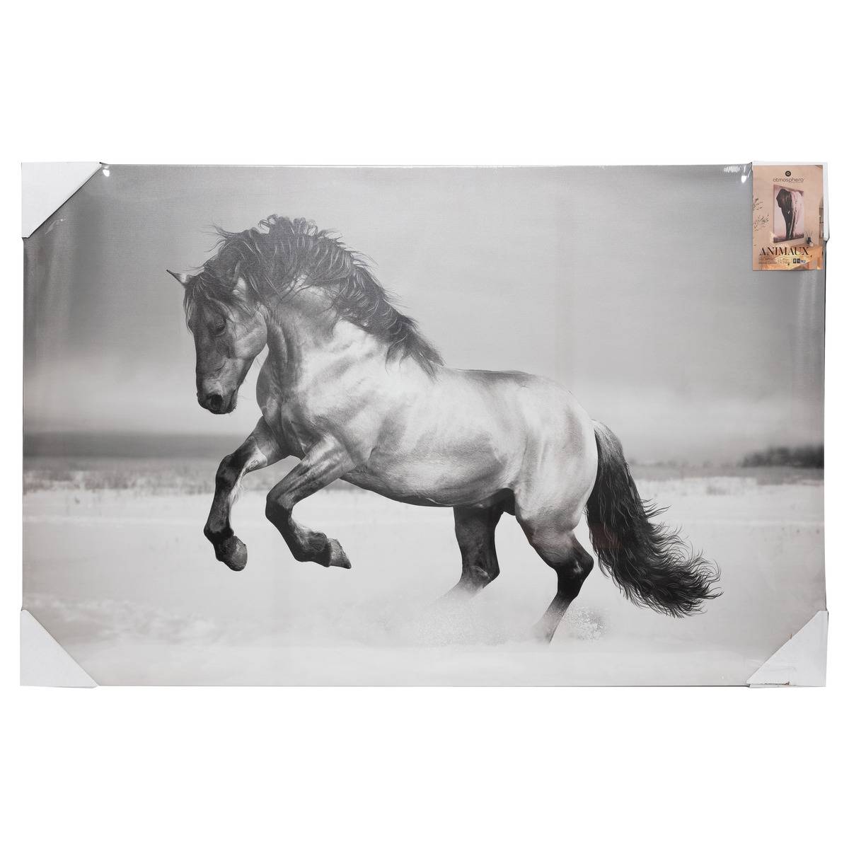 Toile imprimée ANIMAUX multicolore, ATMOSPHERA