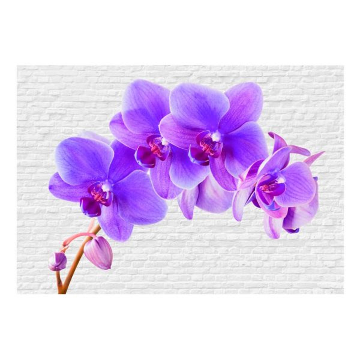 Papier peint intissé panoramique Fleurs Violet excitation vert, EDEN