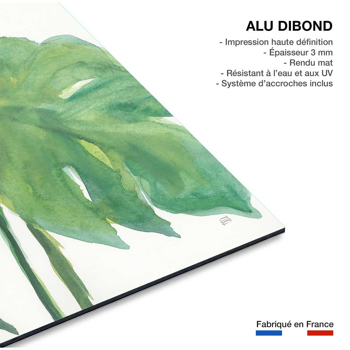 Tableau plante aloe watercolor tableau alu dibond, HEXOA