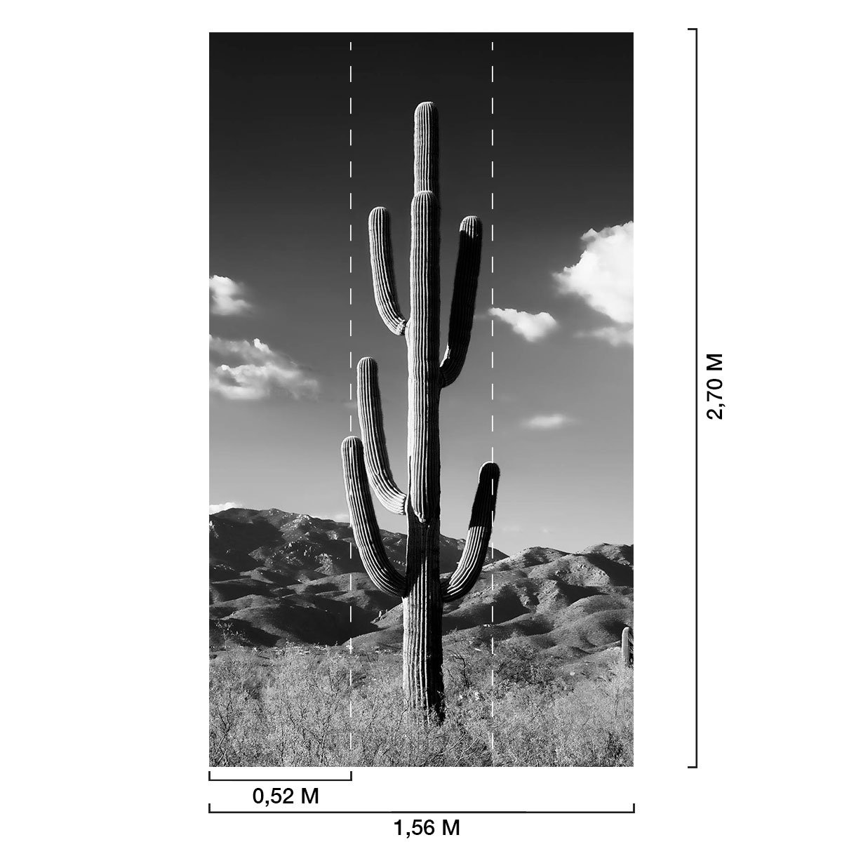 Papier peint jungle cactus desert n&b intissé, HEXOA