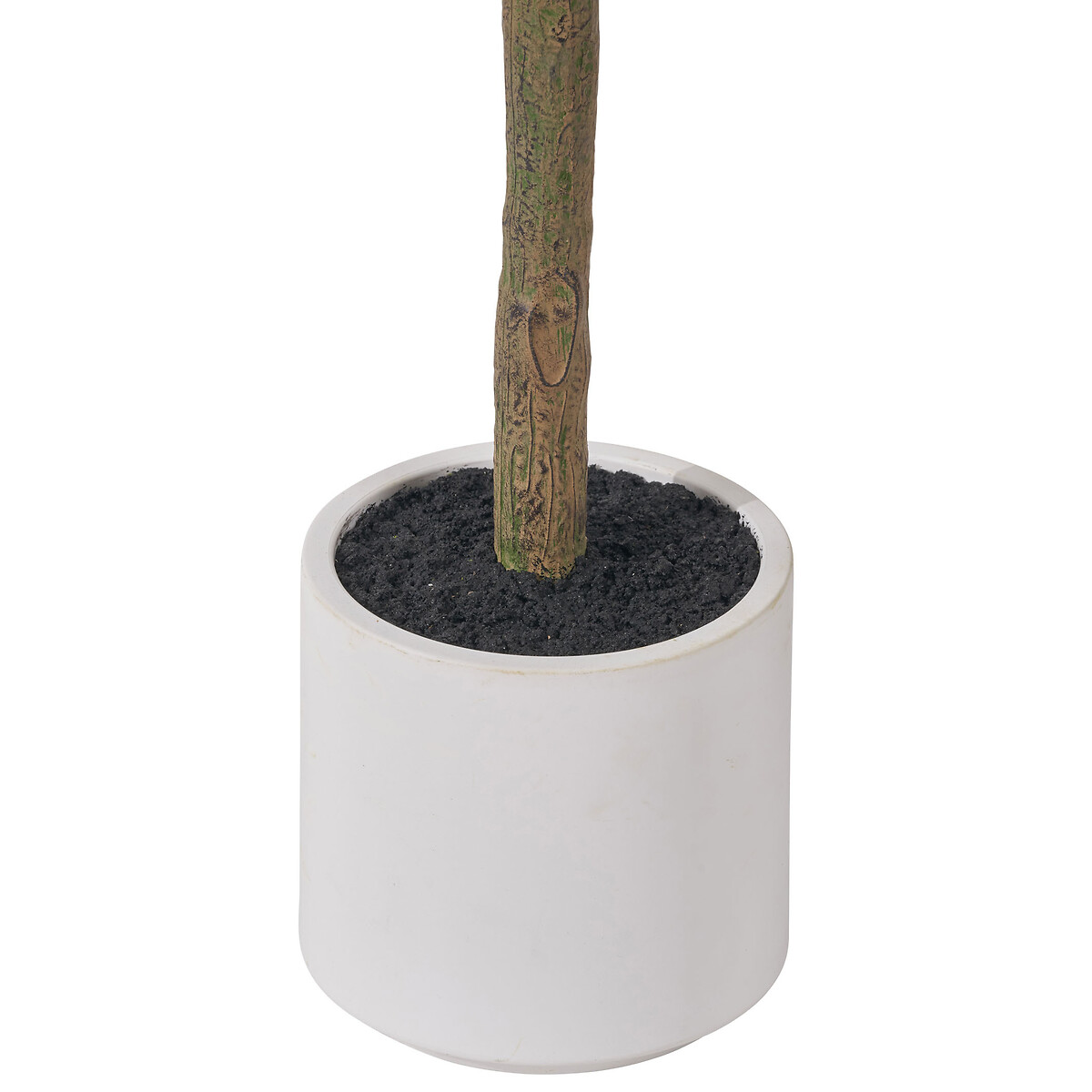 150cm Olive Tree in Pot green, SO'HOME