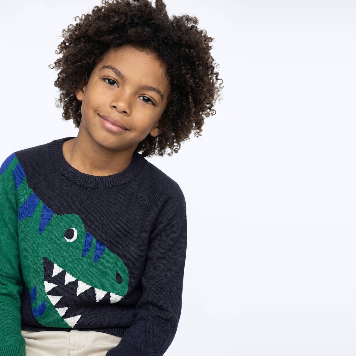 Pull col rond �� motif en coton cachalot, MONOPRIX