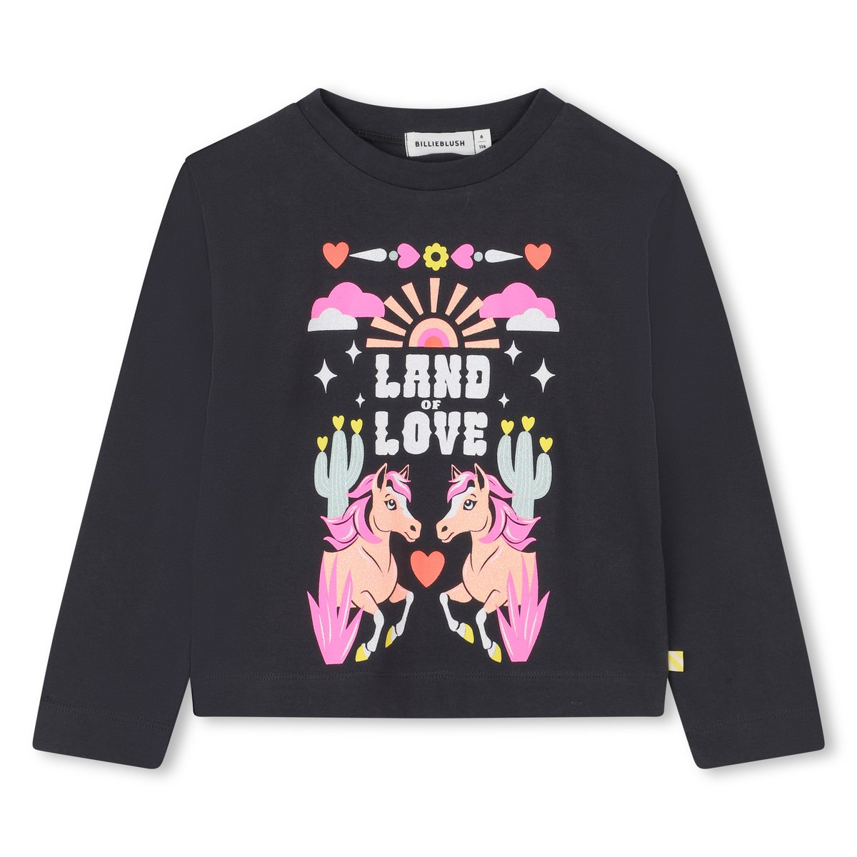 T-shirts à manches longues dark grey, BILLIEBLUSH