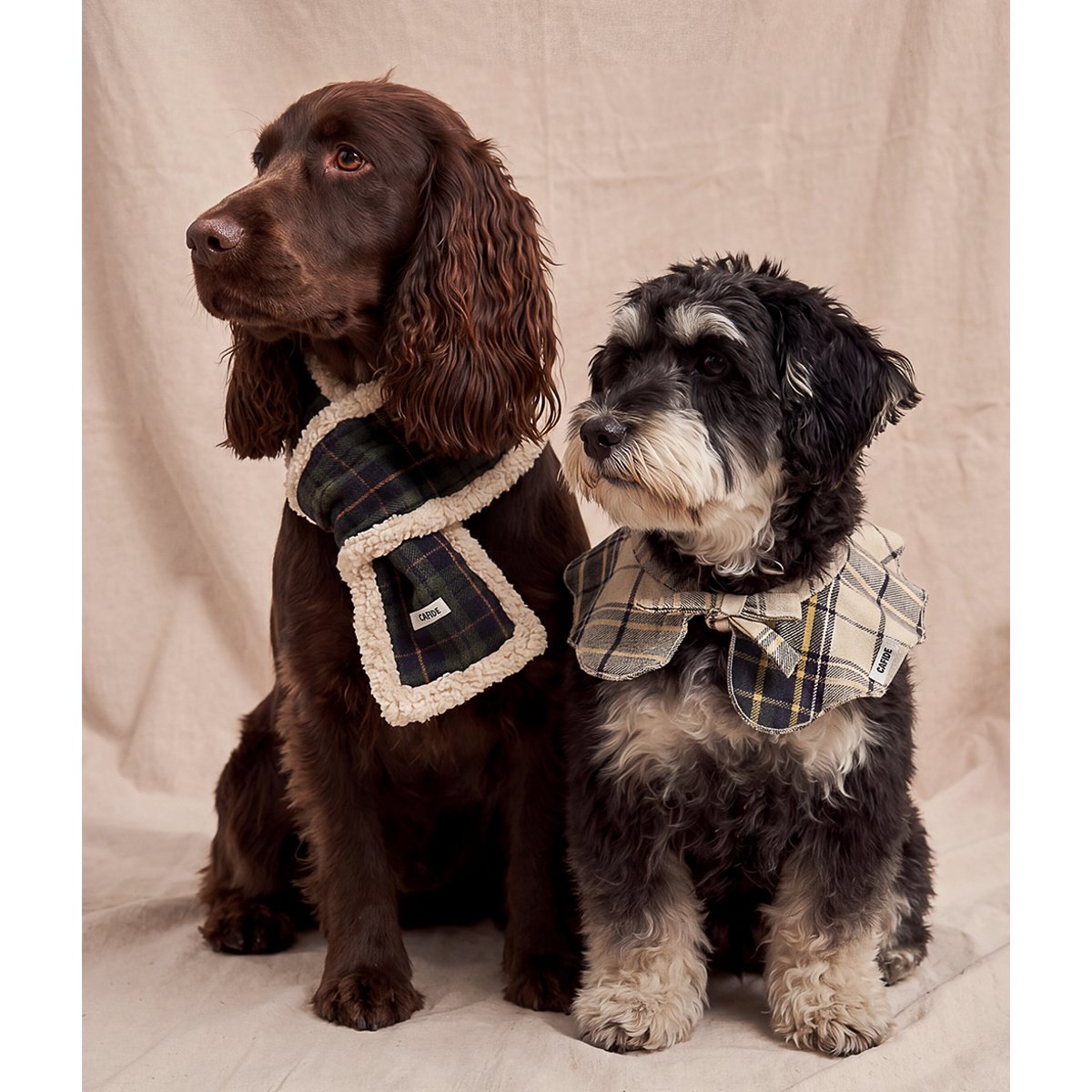 Bandana pour chien style col tartan beige, Lola beige, CAFIDE
