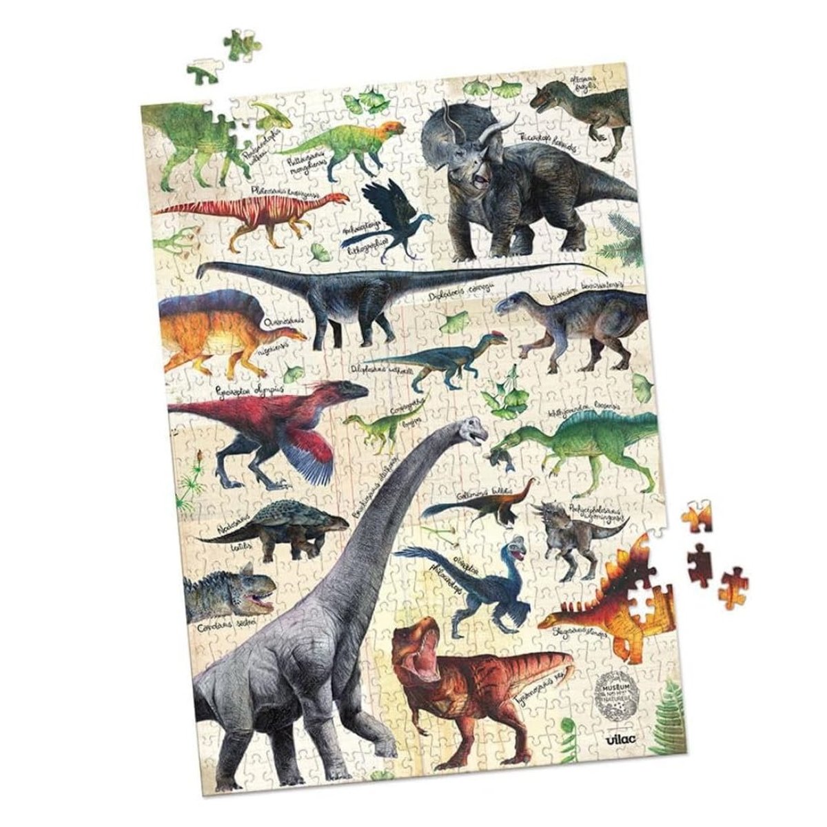 Puzzle dinosaures 500 pièces beige, VILAC
