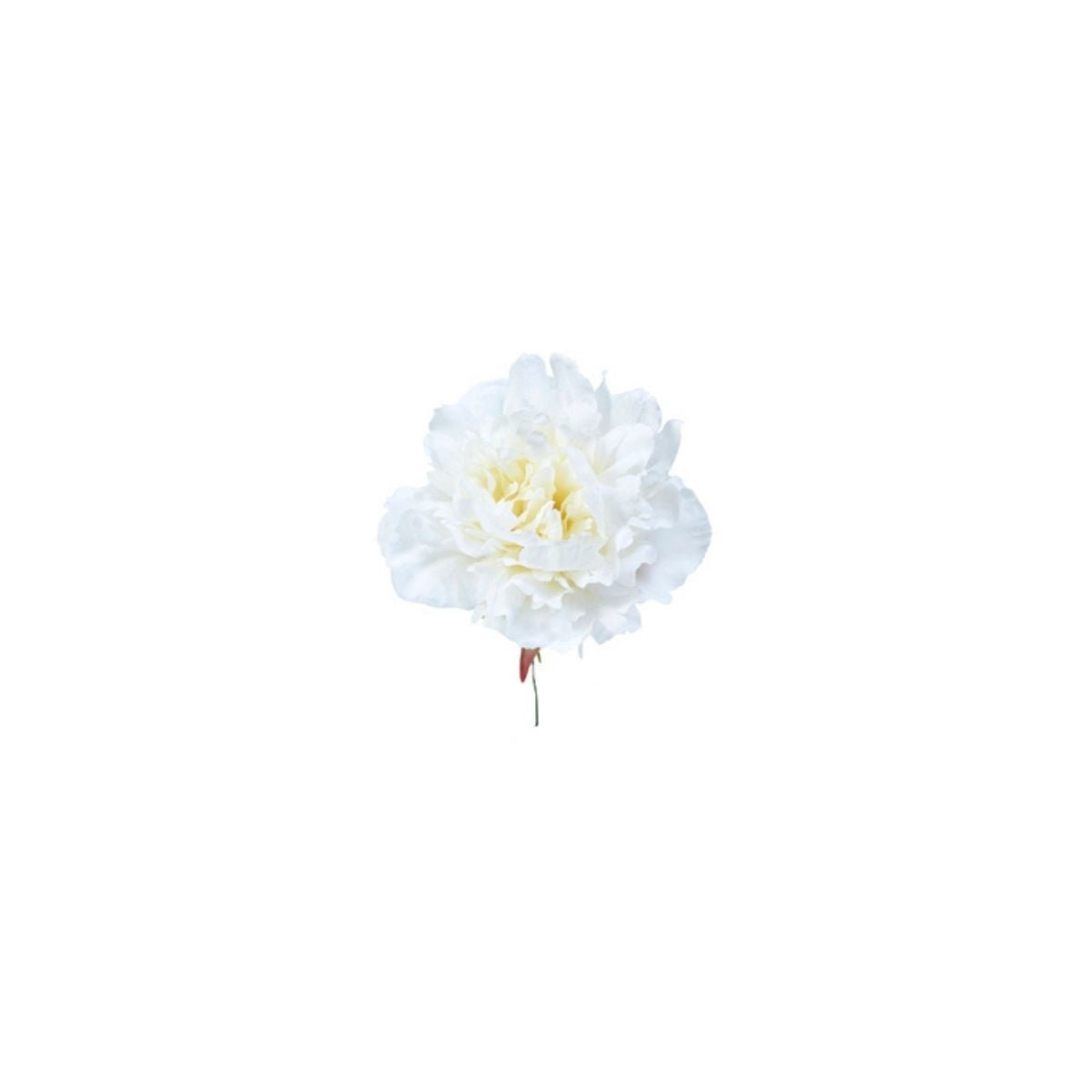 Tige de pivoine à piquer artificielle H18 blanc, SIA DECO