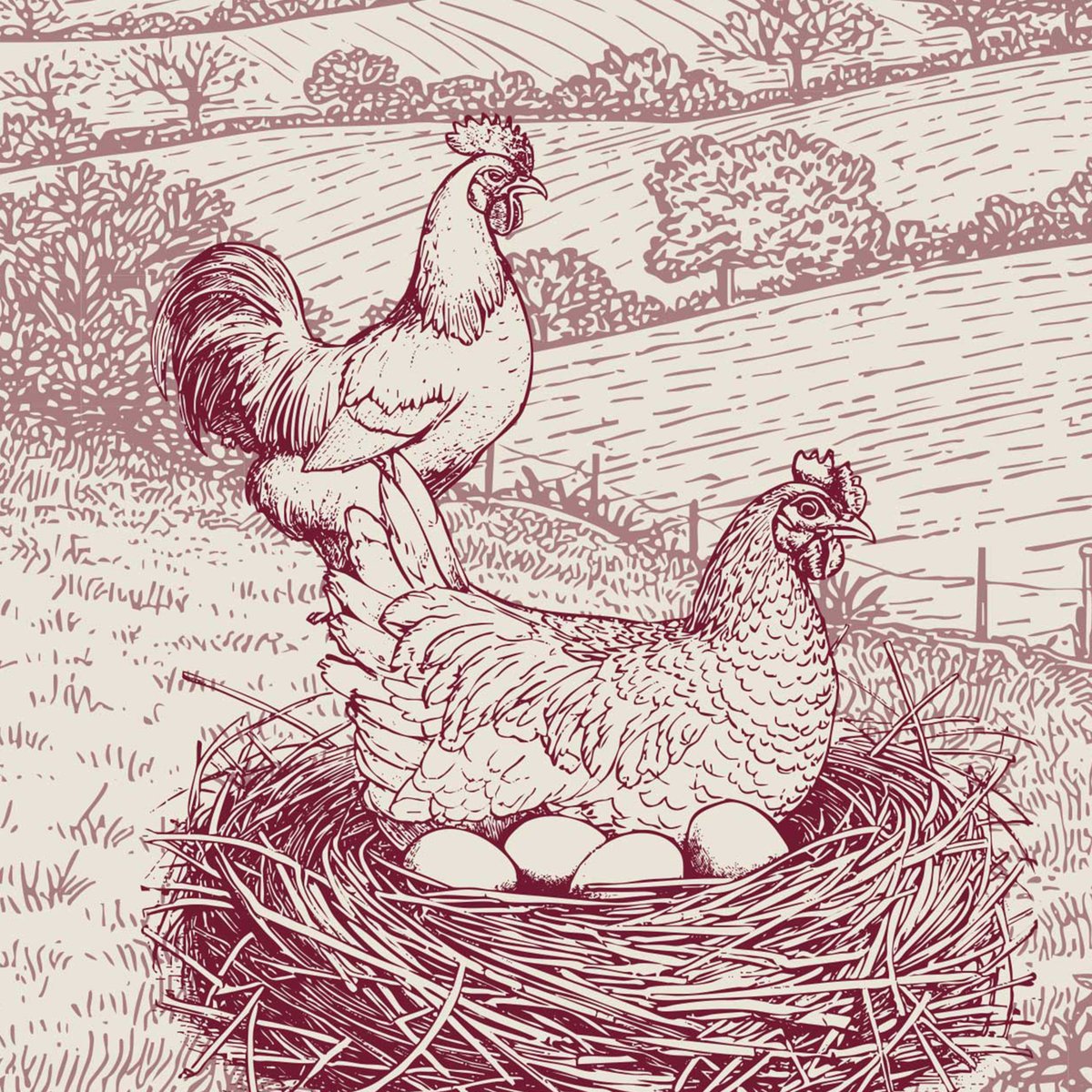 Torchon en coton poule campagne rouge, SUD ETOFFE