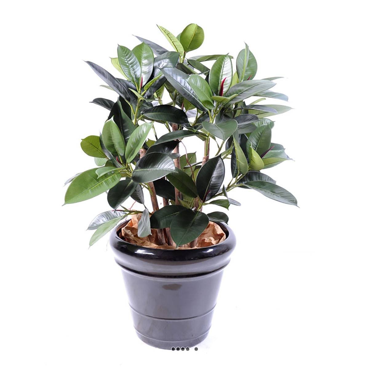 Ficus elastica artificiel ou plante de caoutc vert, ARTIFICIELLES