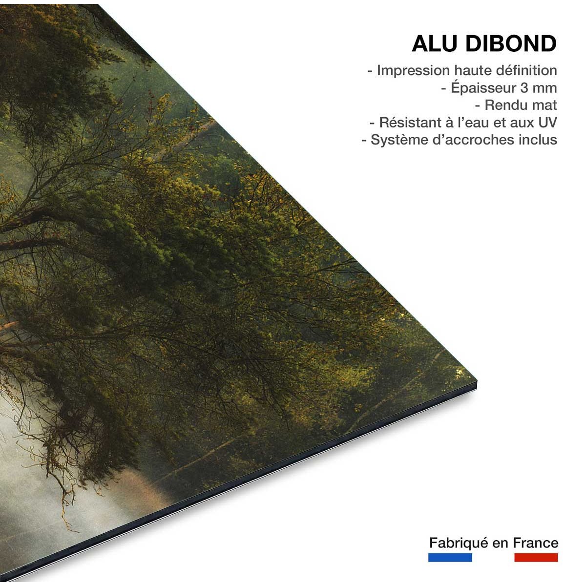 Tableau Ilôt d'automne tableau alu dibond, HEXOA