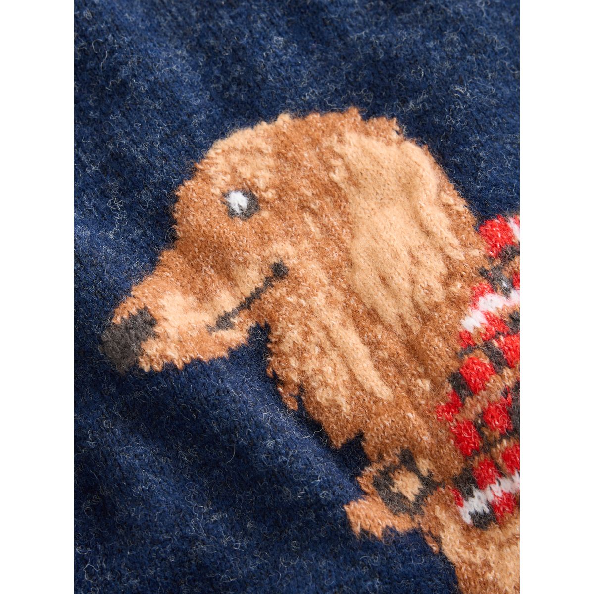 Pull en tricot teckel de la marine, NEXT
