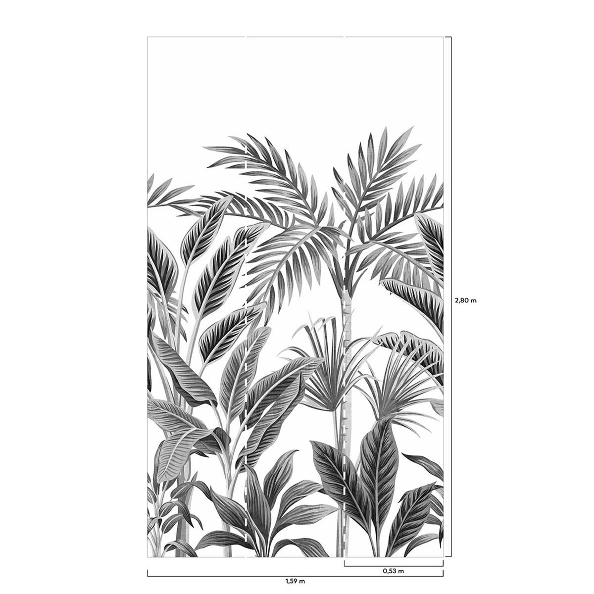 Papier peint rouleau palmeraie noir et blanc, HEXOA