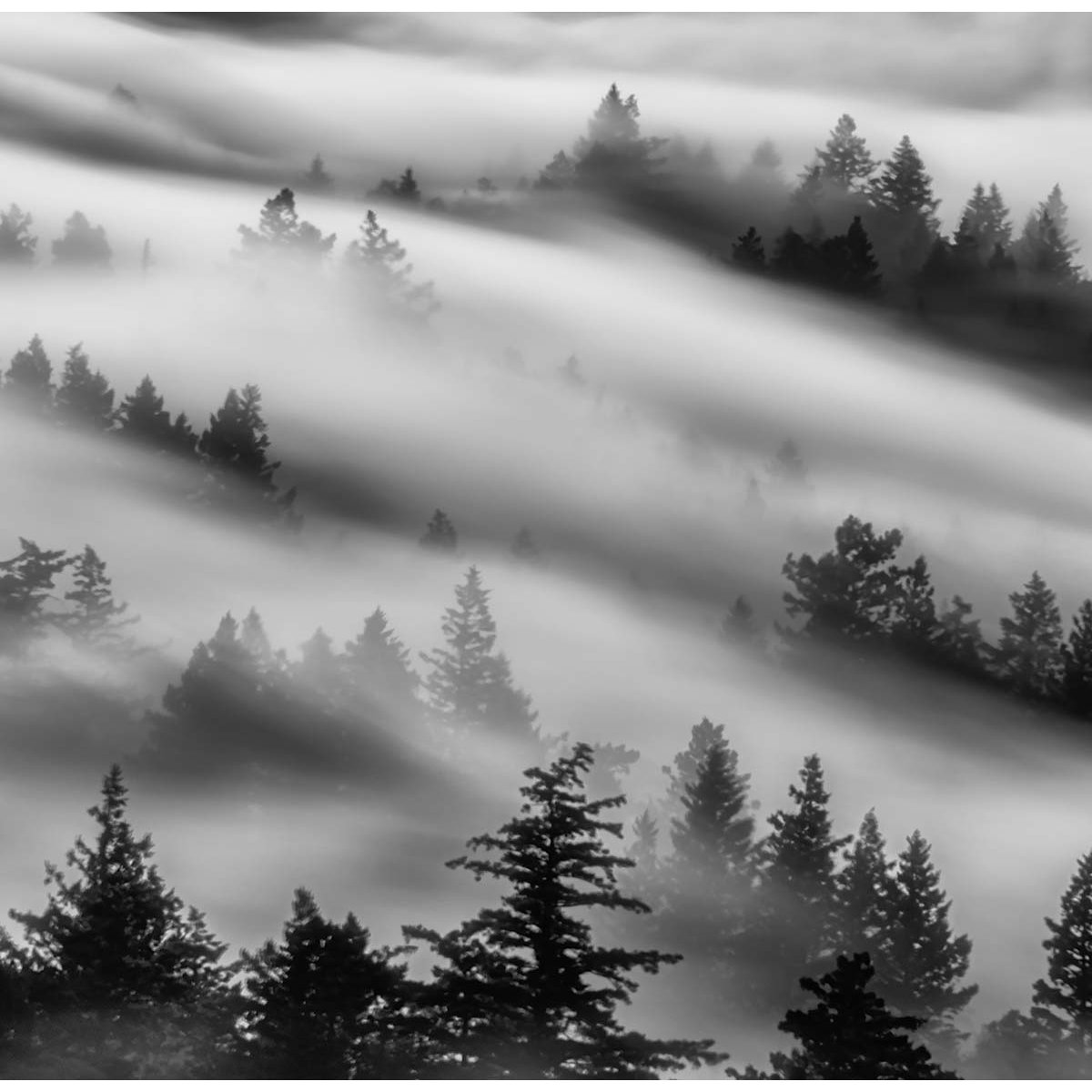 Papier peint brume du matin intissé, HEXOA