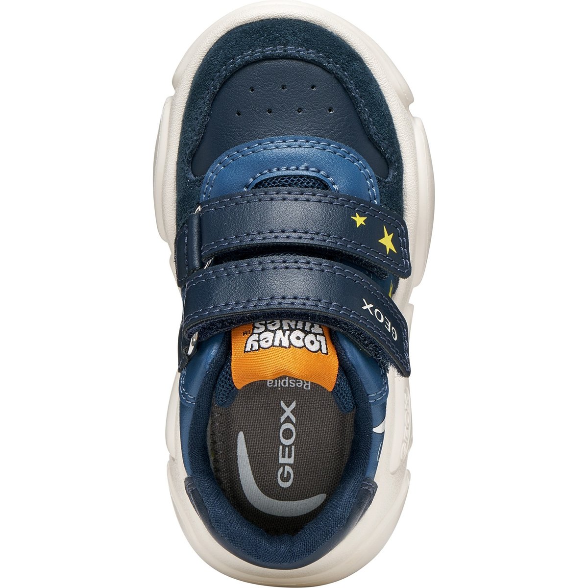 Baskets B CIUFCIUF bleu marine, GEOX