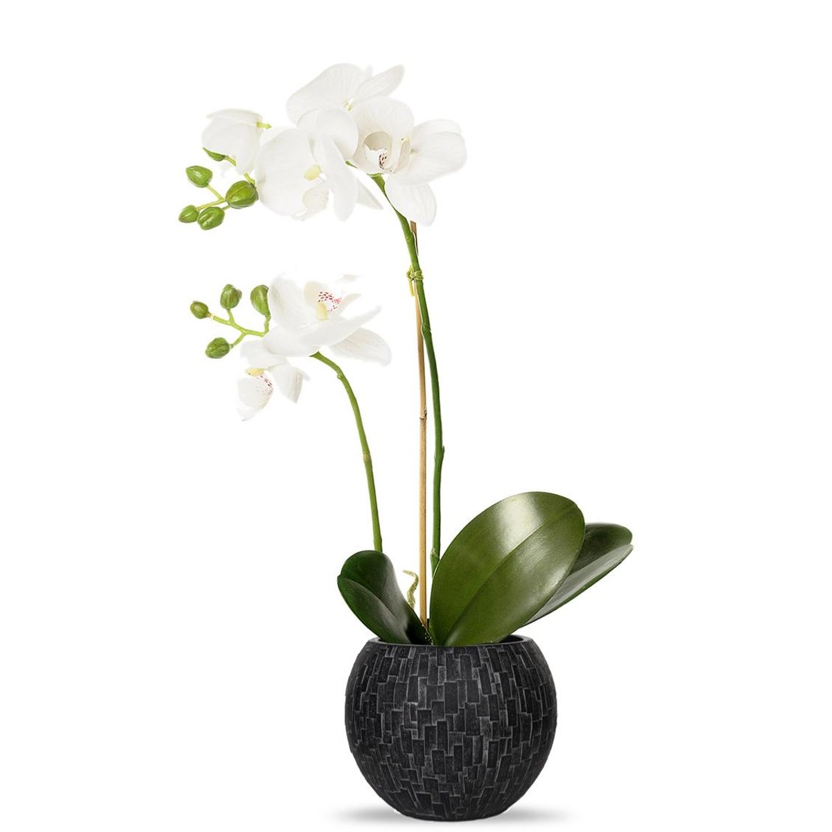 Orchidee artificielle 2 hampes en pot H 40 cm blanc neige, ARTIFICIELLES