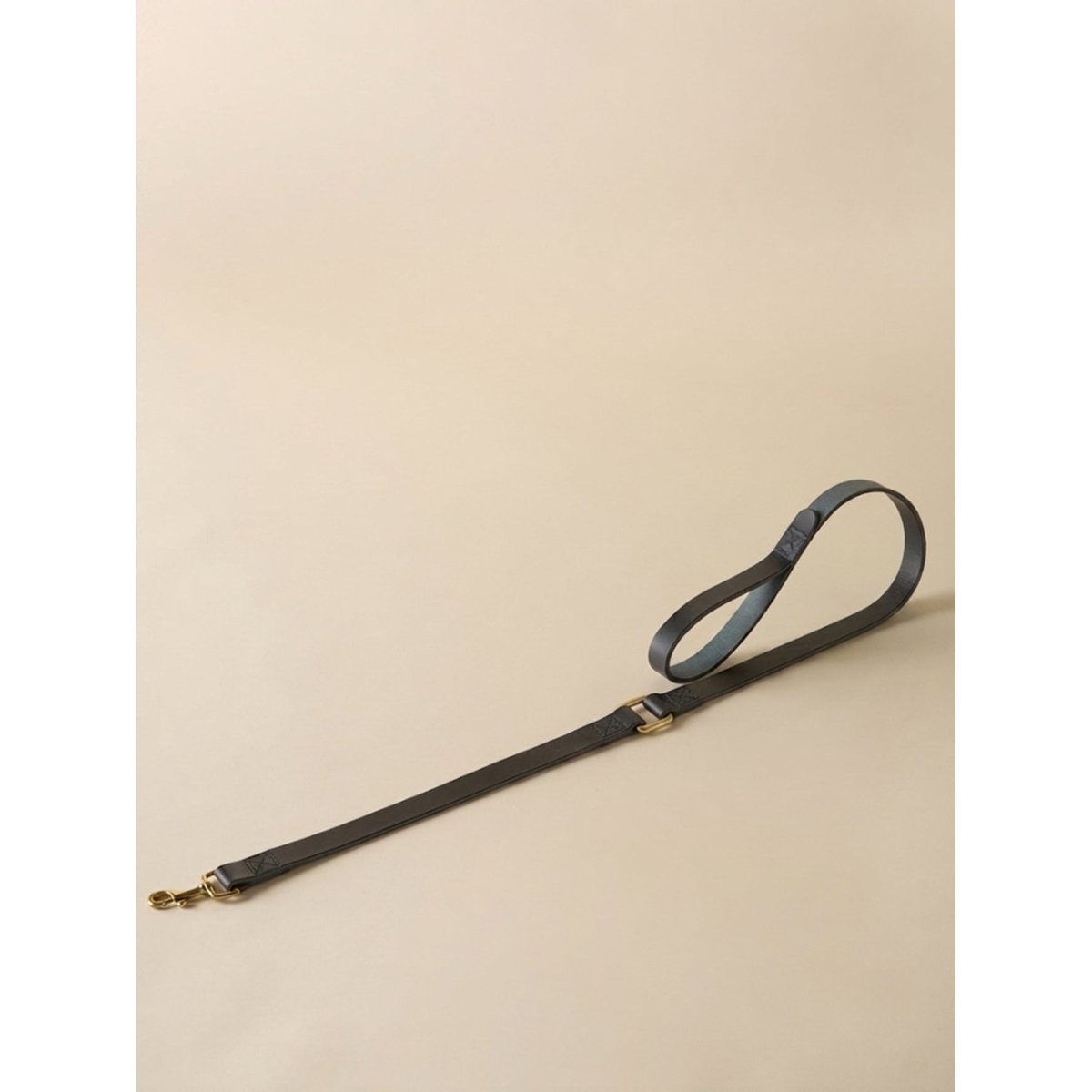 Laisse pour chien en cuir - Collection Fine Truffe marine, CYRILLUS
