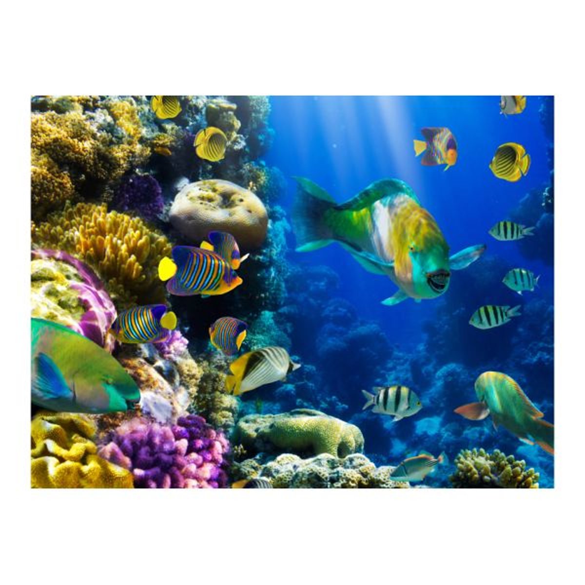 Papier peint intissé panoramique Paysage Paradis sous-marins multicouleur, EDEN